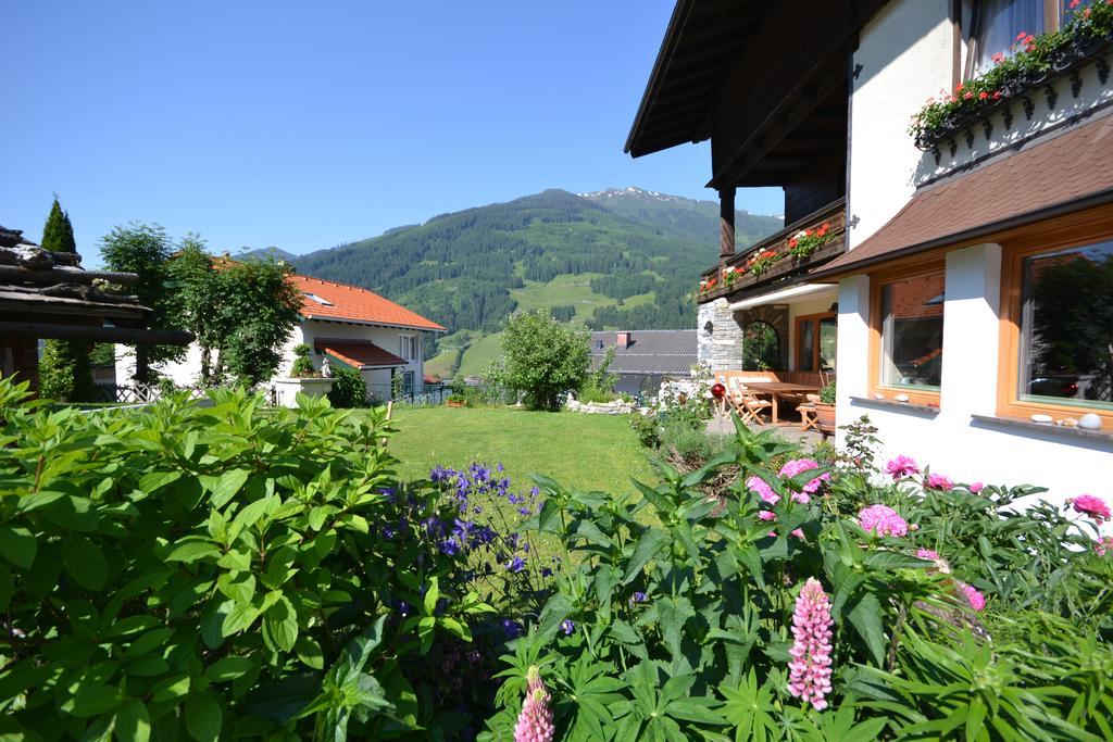 Appartementhaus Jaegerheim 多弗加斯坦 外观 照片